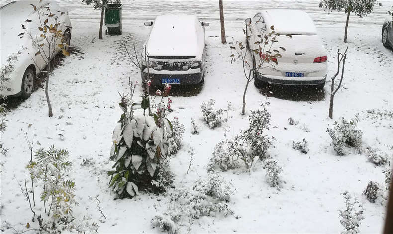 蘇浙滬8省暴雪預(yù)警，至尊卡爾用戶(hù)請(qǐng)注意